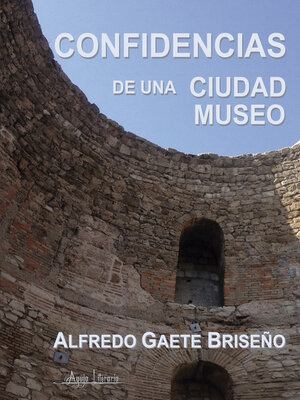 cover image of Confidencias de una ciudad museo